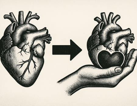 Transplantation d’organes